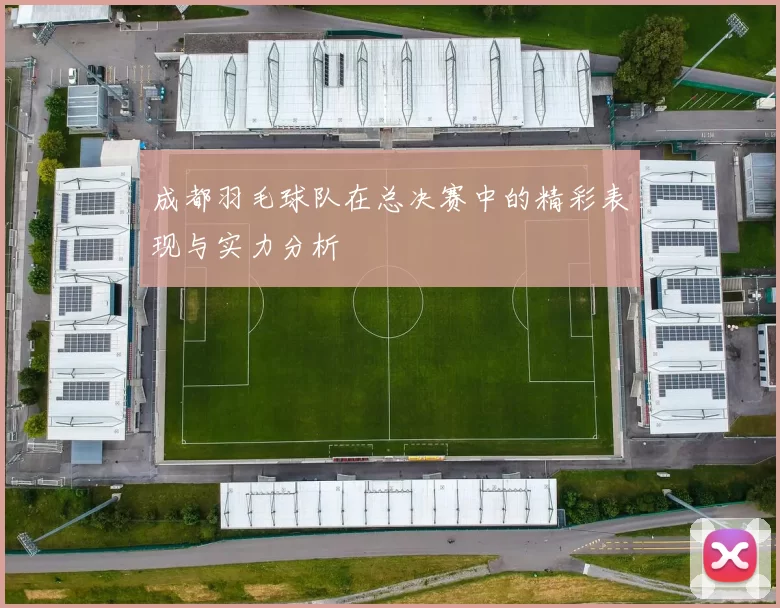 成都羽毛球队在总决赛中的精彩表现与实力分析