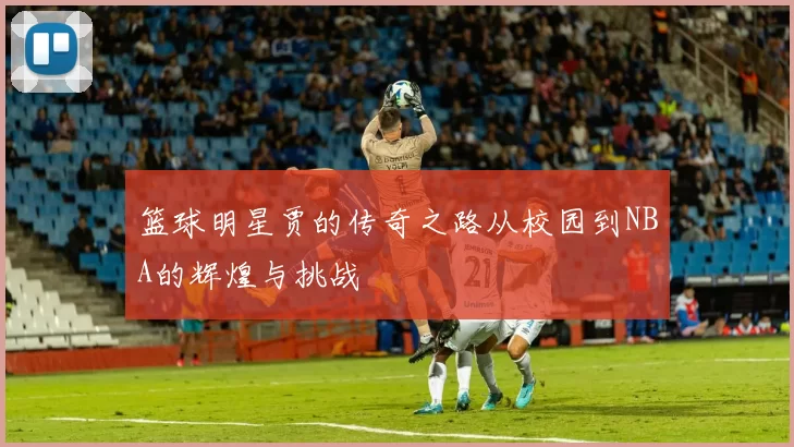 篮球明星贾的传奇之路从校园到NBA的辉煌与挑战