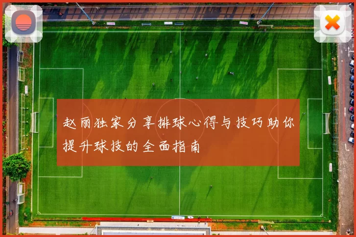 赵丽独家分享排球心得与技巧助你提升球技的全面指南