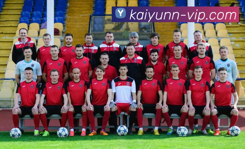 开云app下载平台生态图