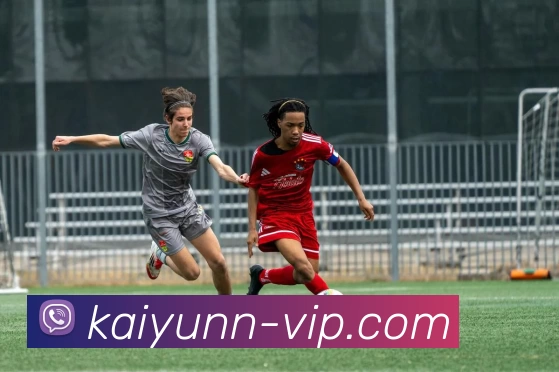 App Interface Preview