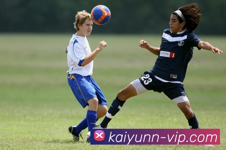 开云app下载APP 封面图