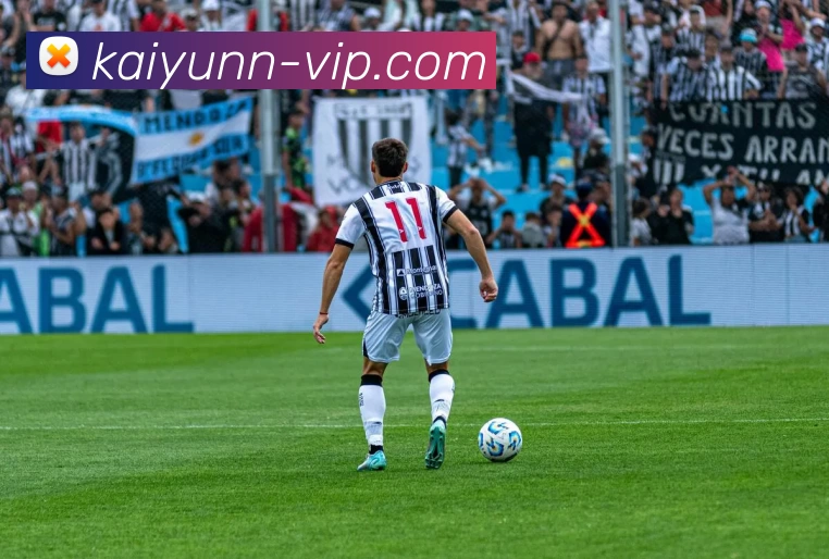 开云app下载全站App